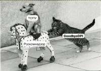 600x425
