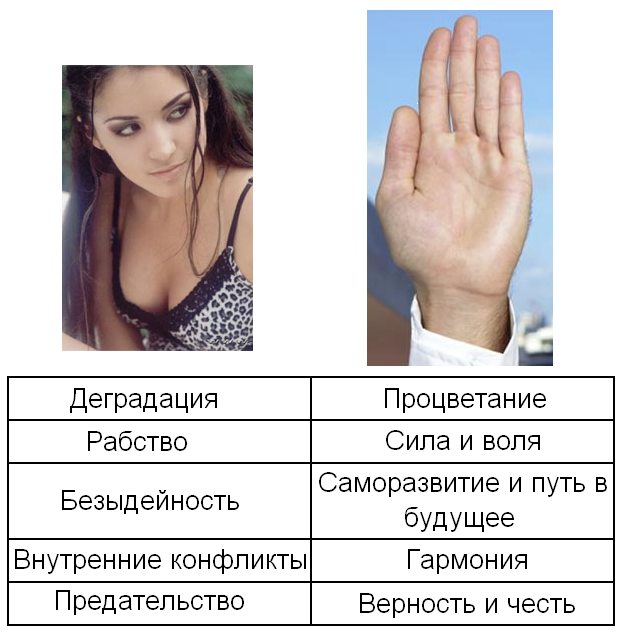 622x633