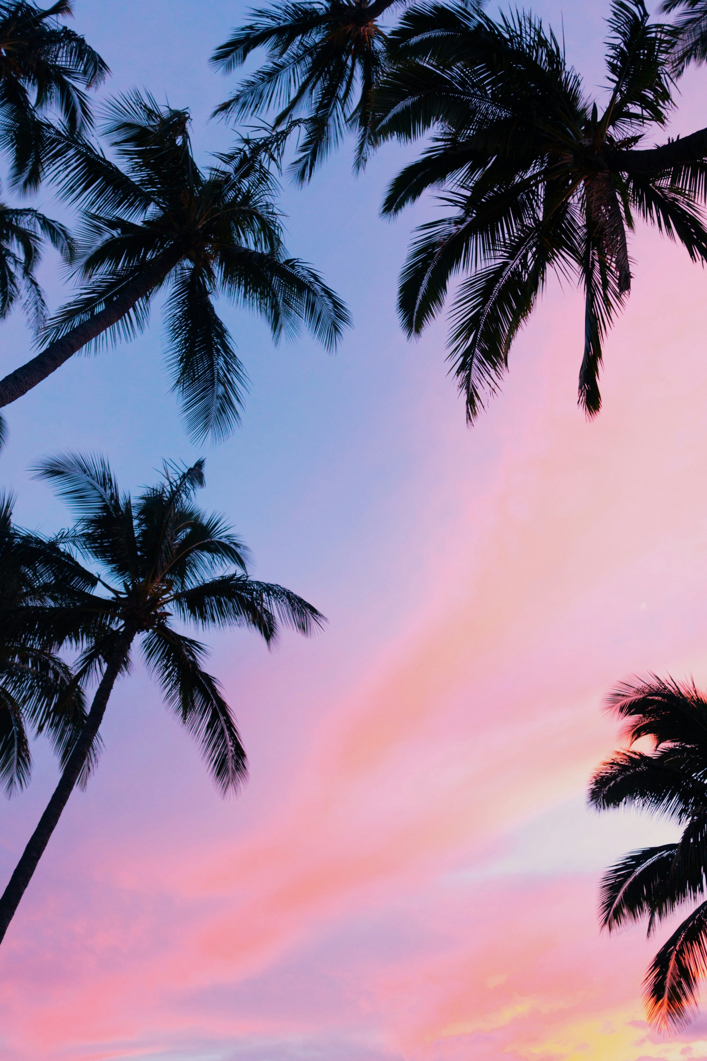2400x3600