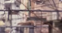 400x214