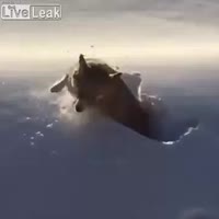 360x360