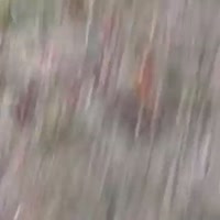 360x360