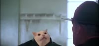 560x261