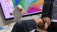 640x360