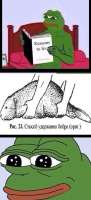 277x604