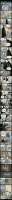 448x7129