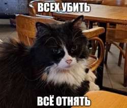 569x486