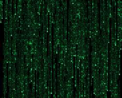 1000x800