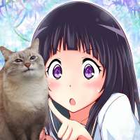 1000x1000