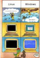 568x807