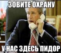 462x403