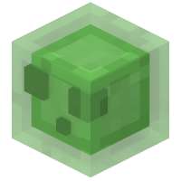 800x800
