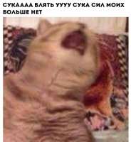 720x779