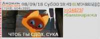 484x193