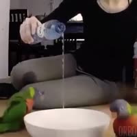 360x360
