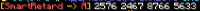 423x24