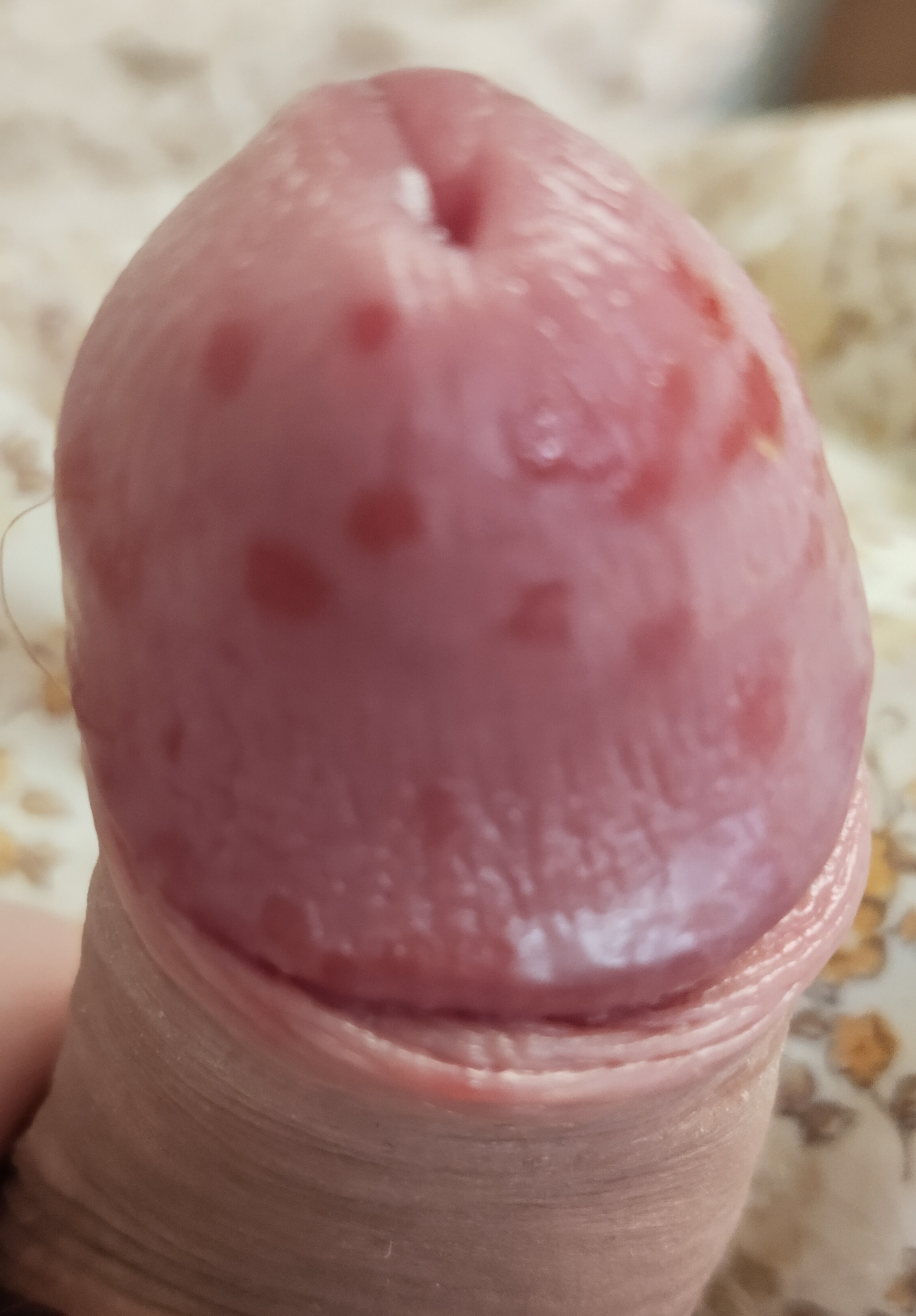 2248x3228