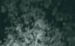 400x250