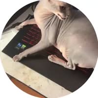 360x360