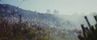 1920x802
