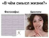 460x361