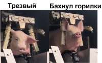 1236x766