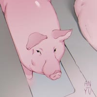 1080x1080