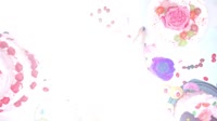 1920x1080