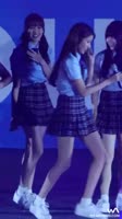460x816