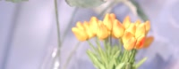 1920x756