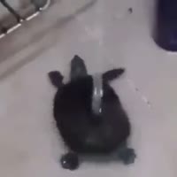 360x360
