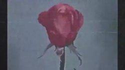 320x180