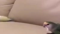640x360