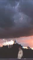 540x960