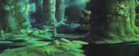 886x360