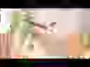 128x96