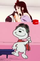 480x720