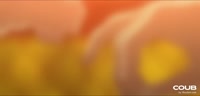 1600x770