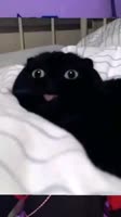 576x1024