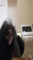 720x1280