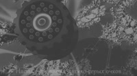 975x546