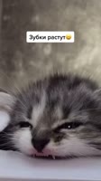 576x1024