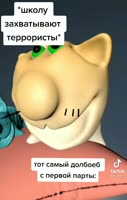 480x752
