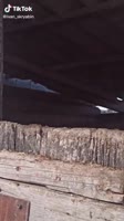 576x1024