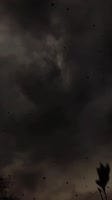 576x1024