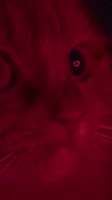 576x1026