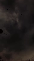 576x1024