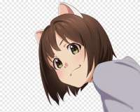 900x724