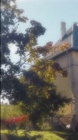 576x1024