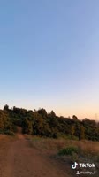 540x958